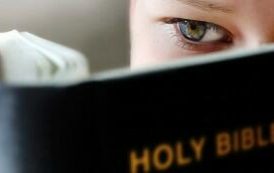 Bible Reading: Pick Your Plan for 2012