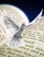 The Bible is the Word of God: Direct testimony of the Holy Spirit